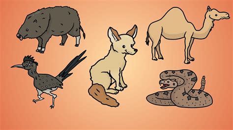 how to draw a desert|desert animals easy to draw.